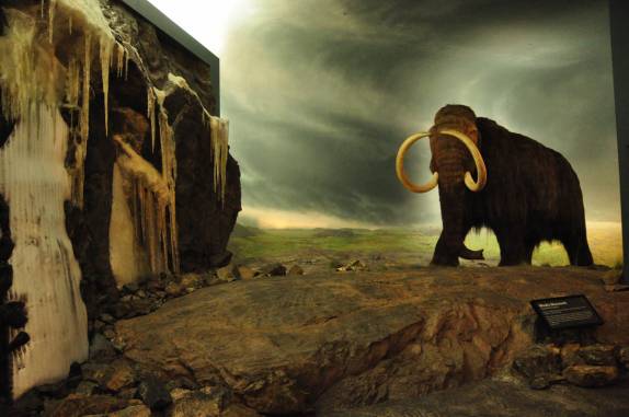 Um mamute nos recepciona na seção de História Natural do excelente Royal BC Museum, em Victoria, capital da British Columbia, no oeste do Canadá